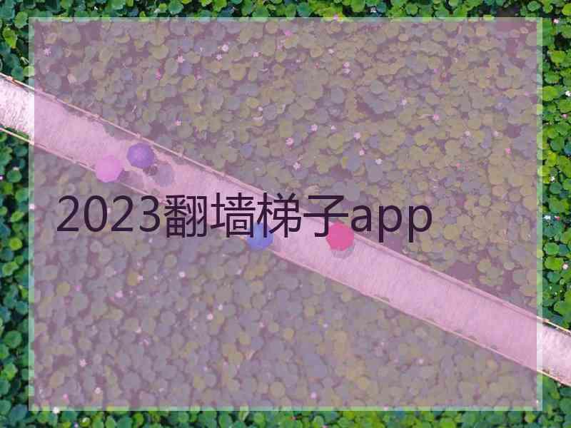 2023翻墙梯子app