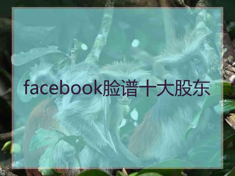 facebook脸谱十大股东