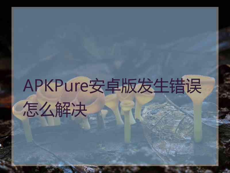 APKPure安卓版发生错误怎么解决