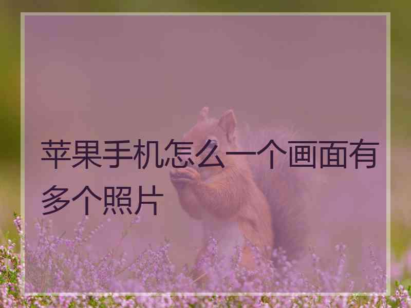 苹果手机怎么一个画面有多个照片