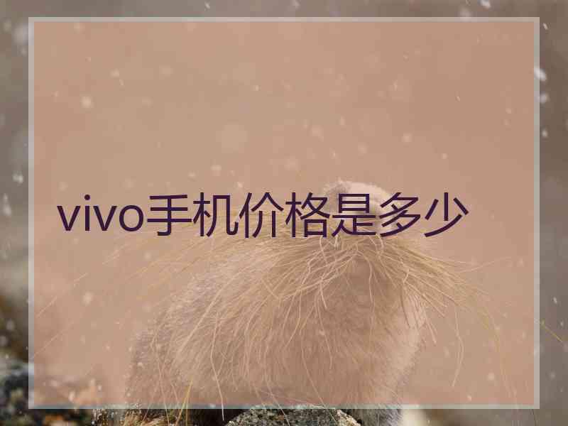 vivo手机价格是多少