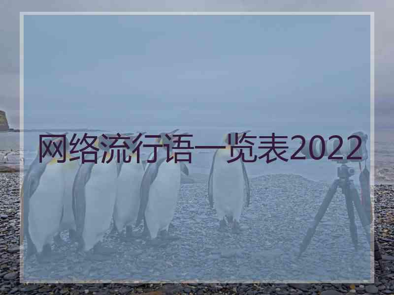 网络流行语一览表2022