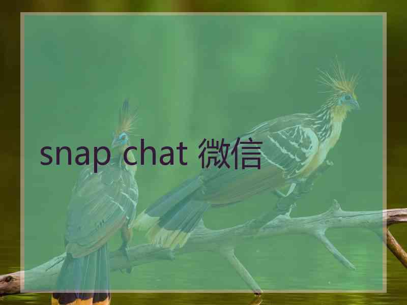 snap chat 微信