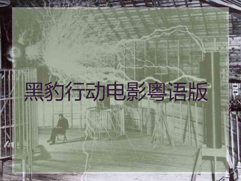 黑豹行动电影粤语版