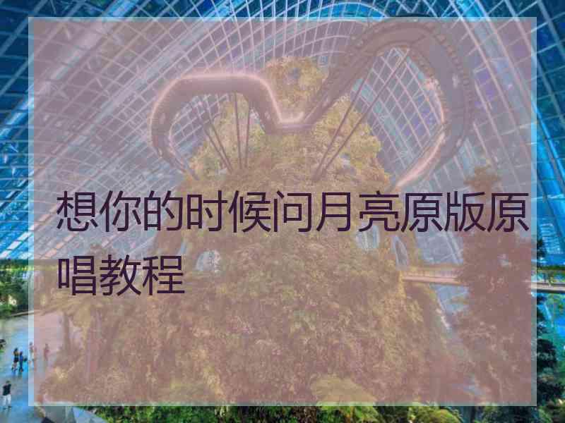 想你的时候问月亮原版原唱教程