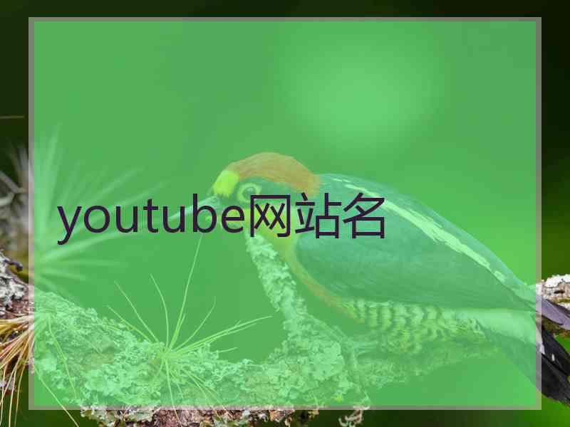 youtube网站名