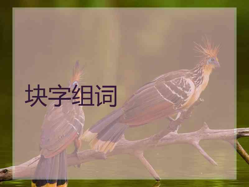 块字组词