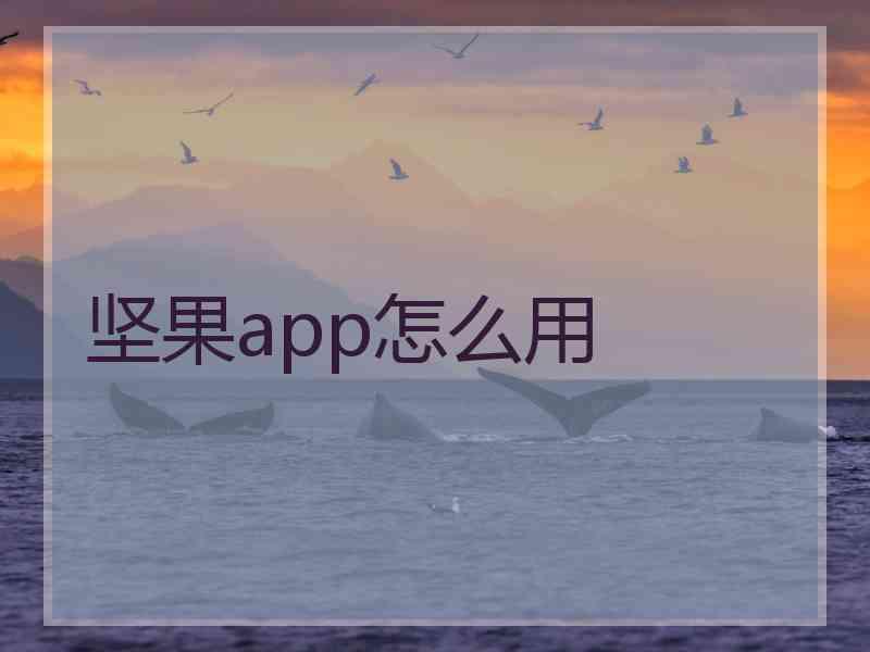 坚果app怎么用