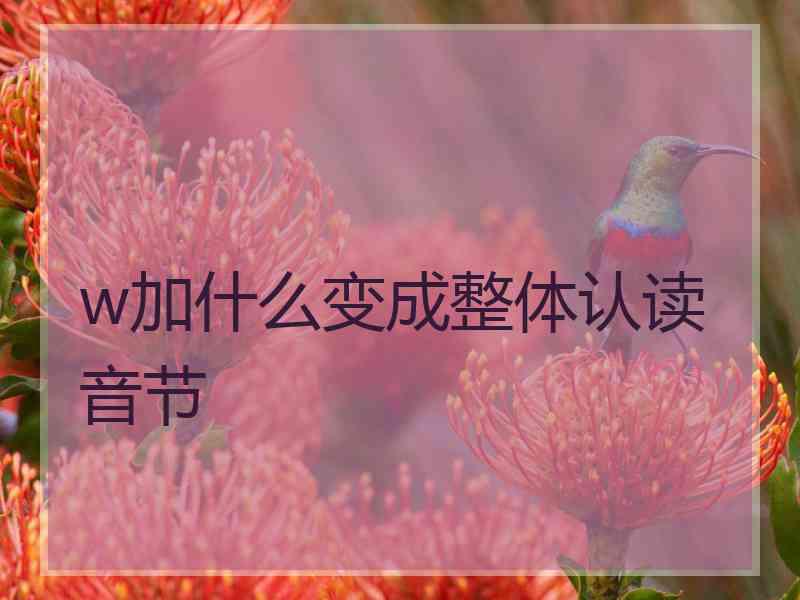 w加什么变成整体认读音节