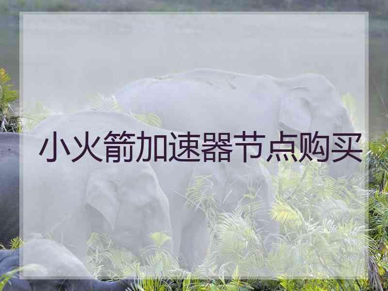 小火箭加速器节点购买