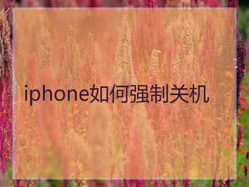 iphone如何强制关机