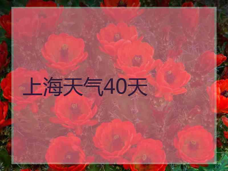 上海天气40天