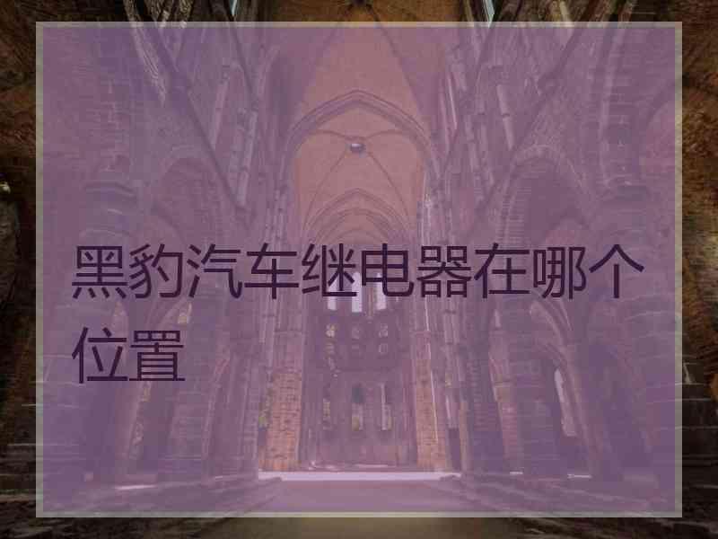 黑豹汽车继电器在哪个位置