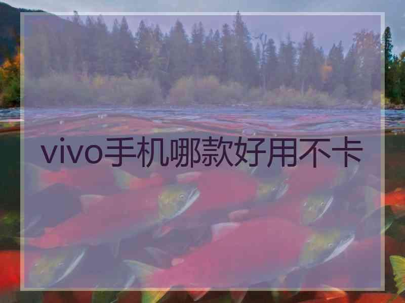 vivo手机哪款好用不卡