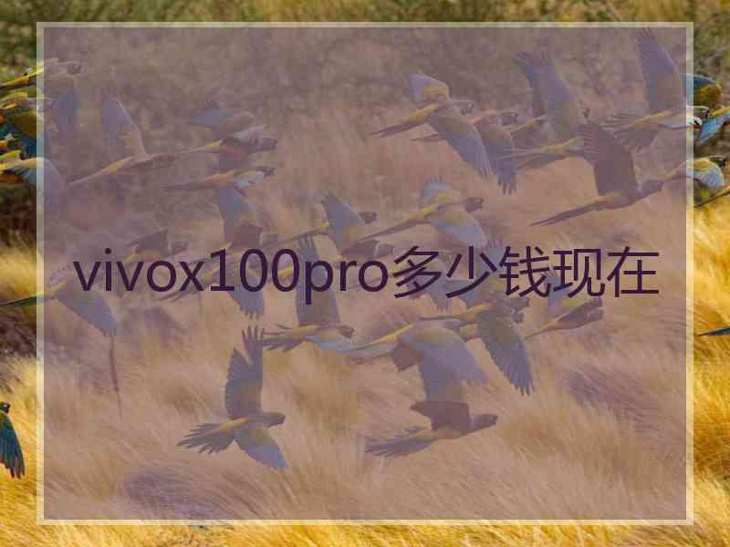 vivox100pro多少钱现在