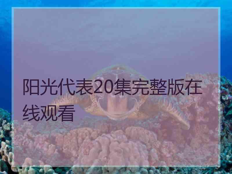 阳光代表20集完整版在线观看