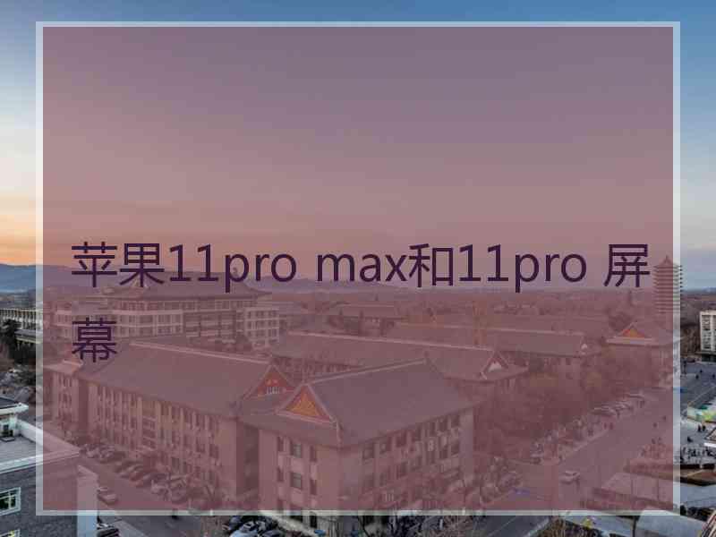 苹果11pro max和11pro 屏幕