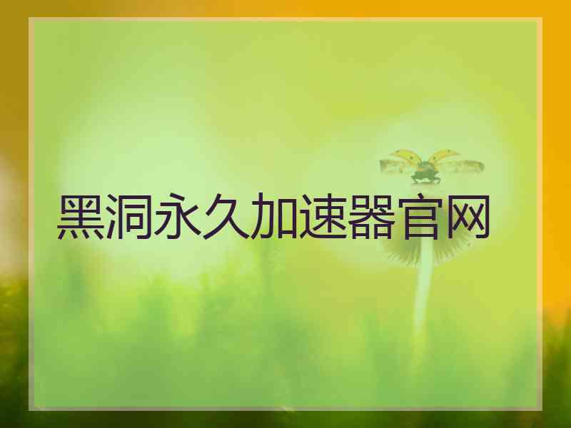 黑洞永久加速器官网