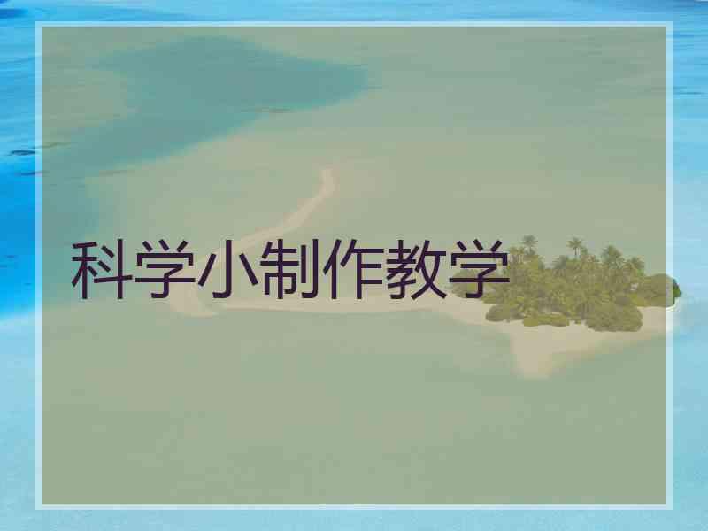 科学小制作教学