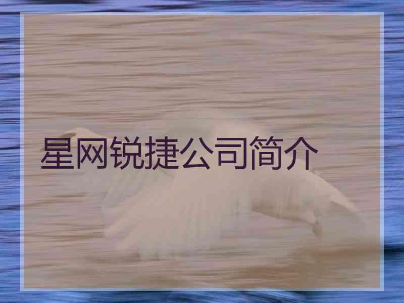 星网锐捷公司简介