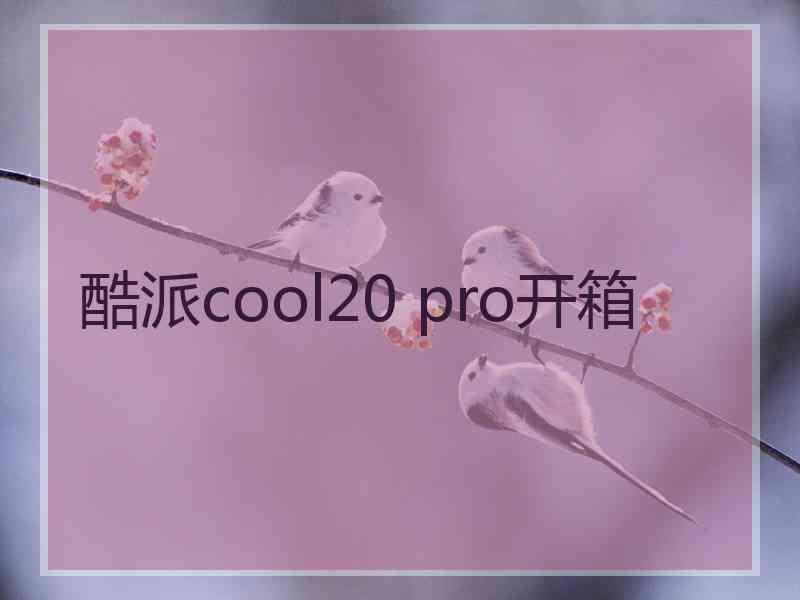 酷派cool20 pro开箱