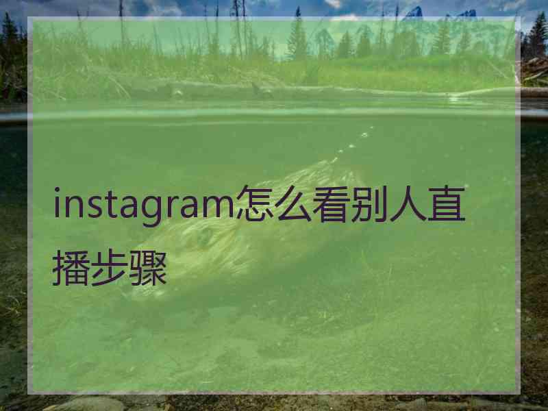 instagram怎么看别人直播步骤