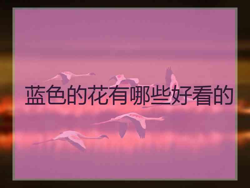 蓝色的花有哪些好看的