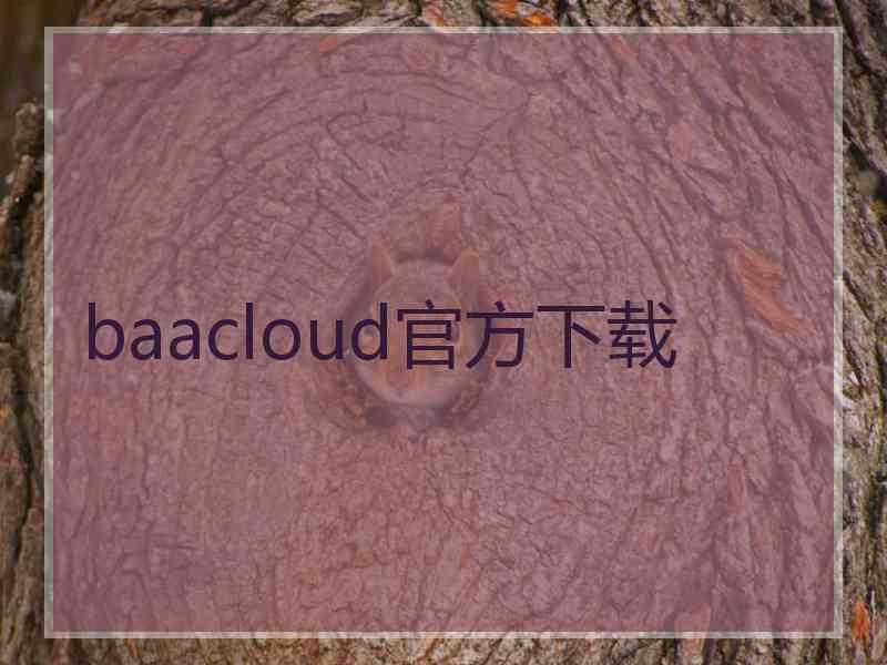 baacloud官方下载