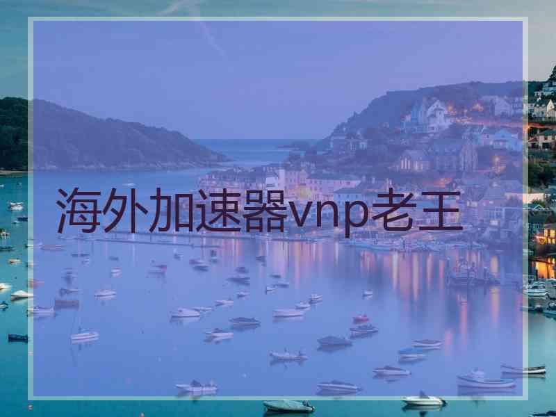 海外加速器vnp老王