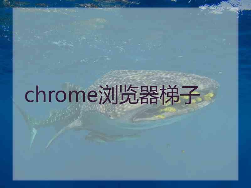 chrome浏览器梯子