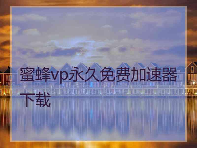 蜜蜂vp永久免费加速器下载