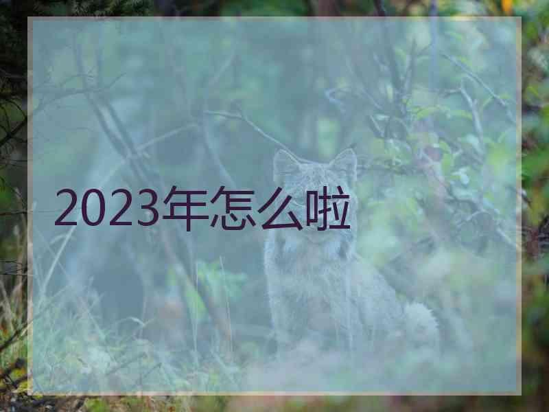 2023年怎么啦