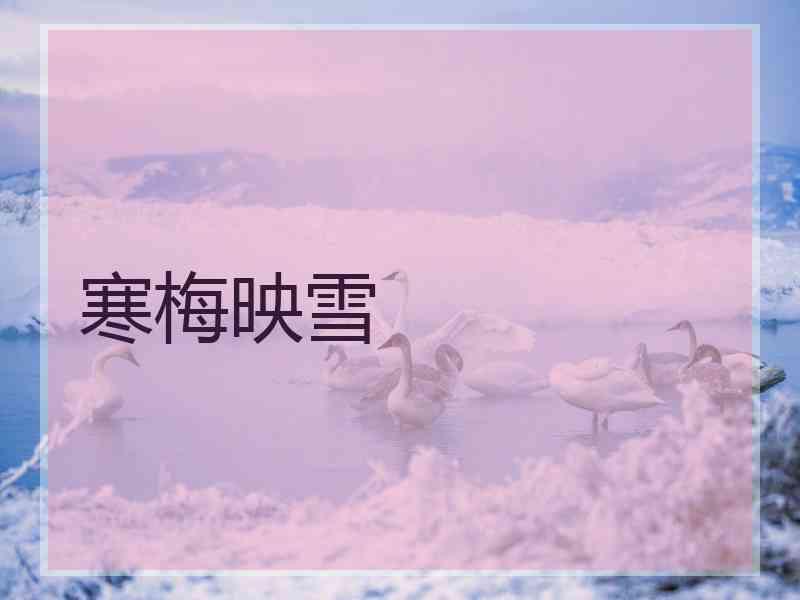 寒梅映雪