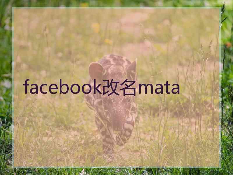 facebook改名mata