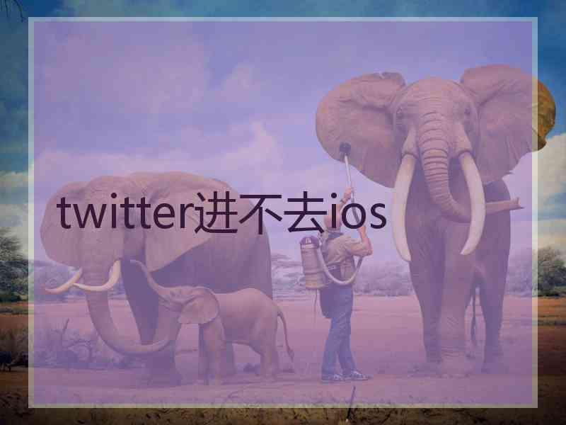 twitter进不去ios