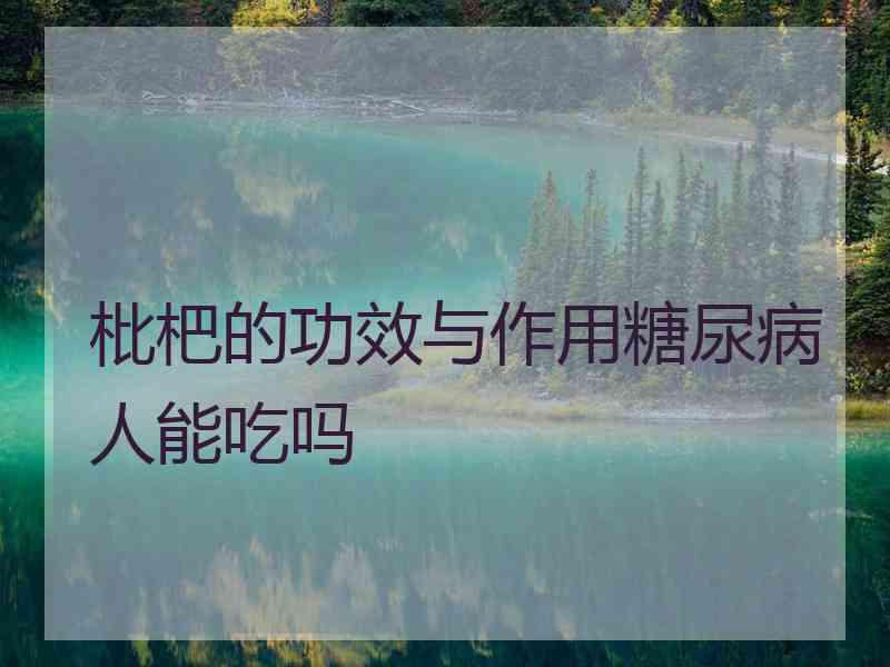 枇杷的功效与作用糖尿病人能吃吗