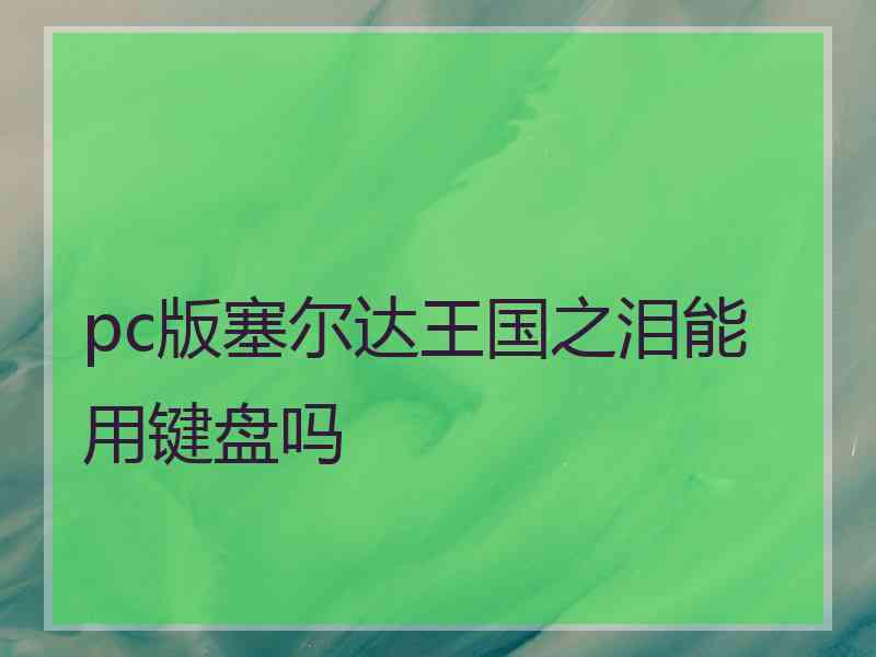 pc版塞尔达王国之泪能用键盘吗