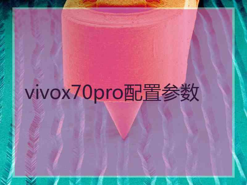 vivox70pro配置参数