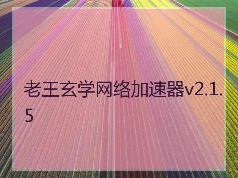 老王玄学网络加速器v2.1.5