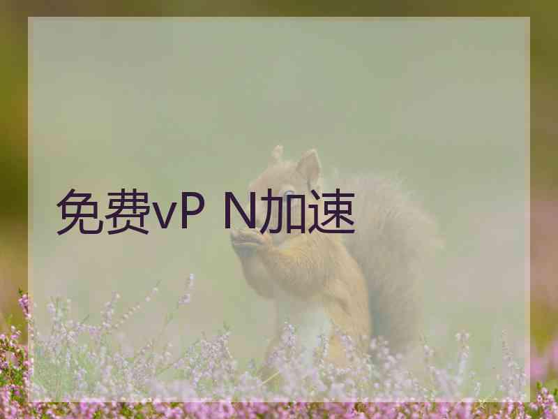 免费vP N加速