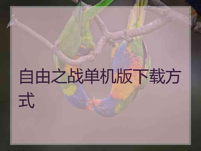 自由之战单机版下载方式