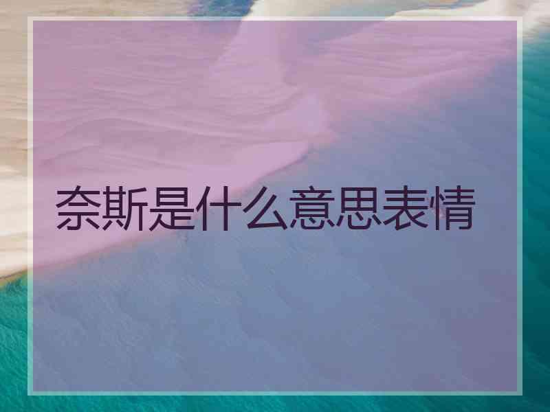 奈斯是什么意思表情