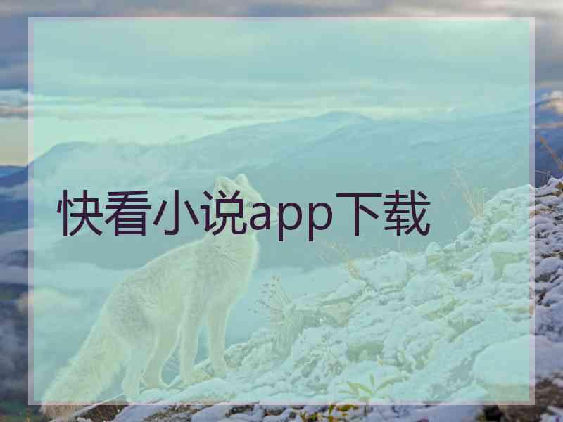 快看小说app下载