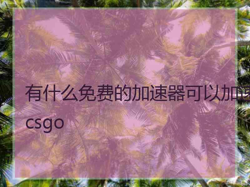 有什么免费的加速器可以加速csgo