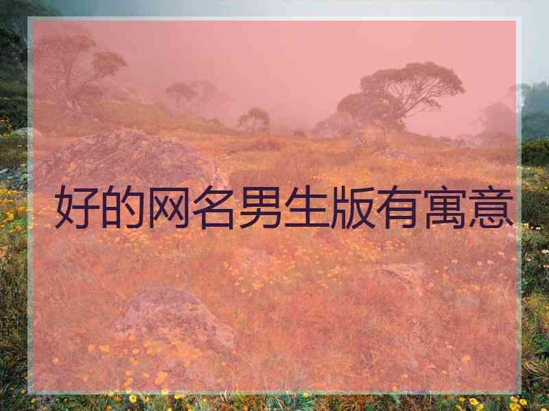 好的网名男生版有寓意