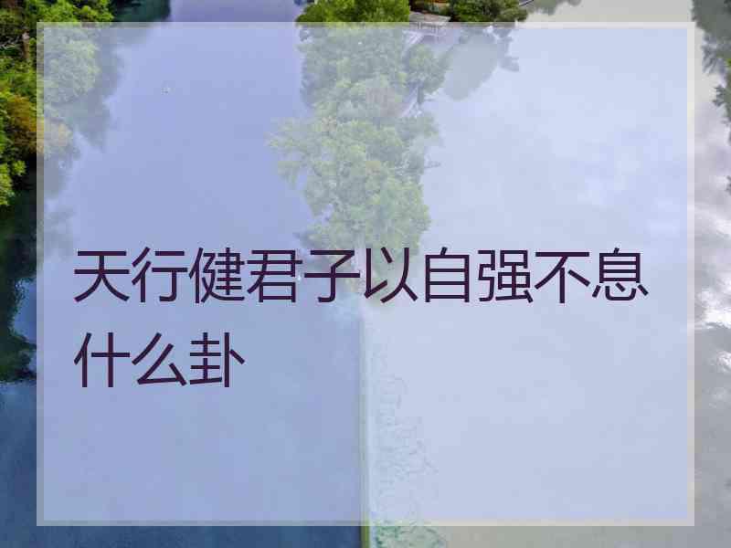 天行健君子以自强不息什么卦