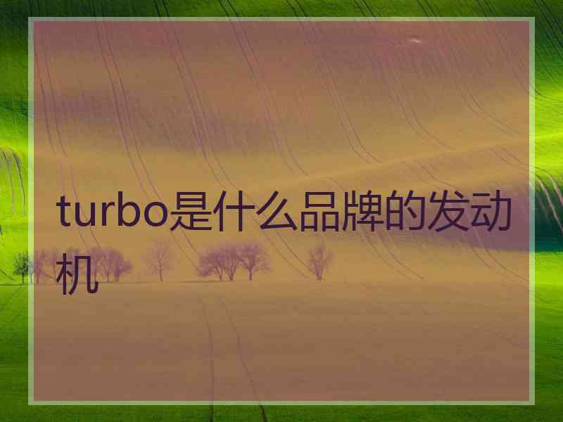 turbo是什么品牌的发动机