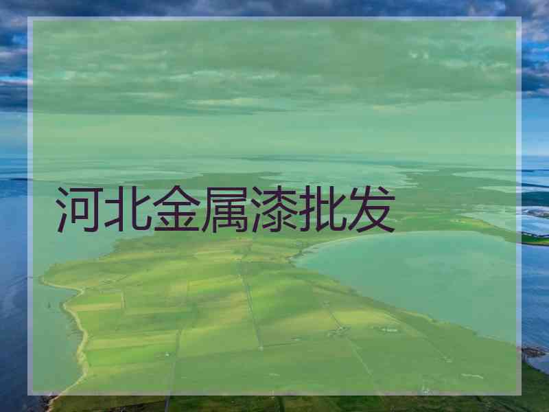 河北金属漆批发