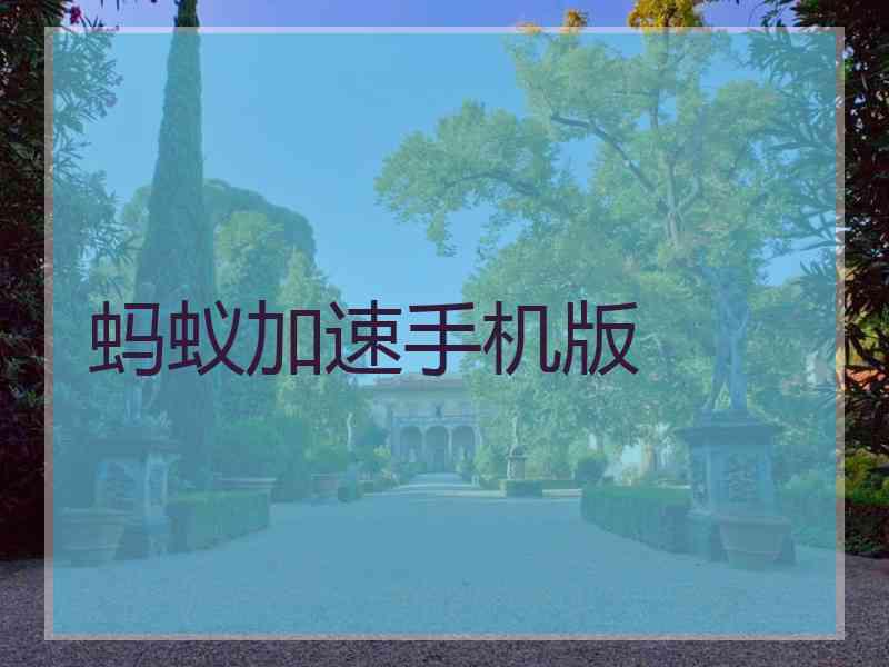 蚂蚁加速手机版