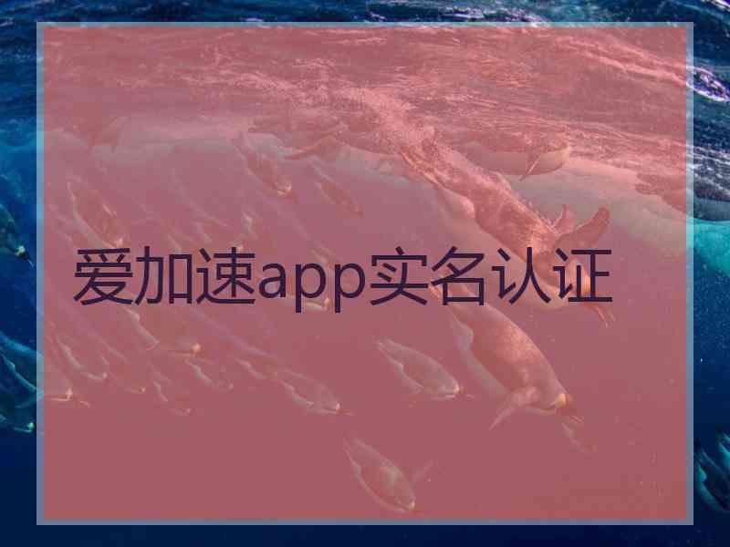 爱加速app实名认证